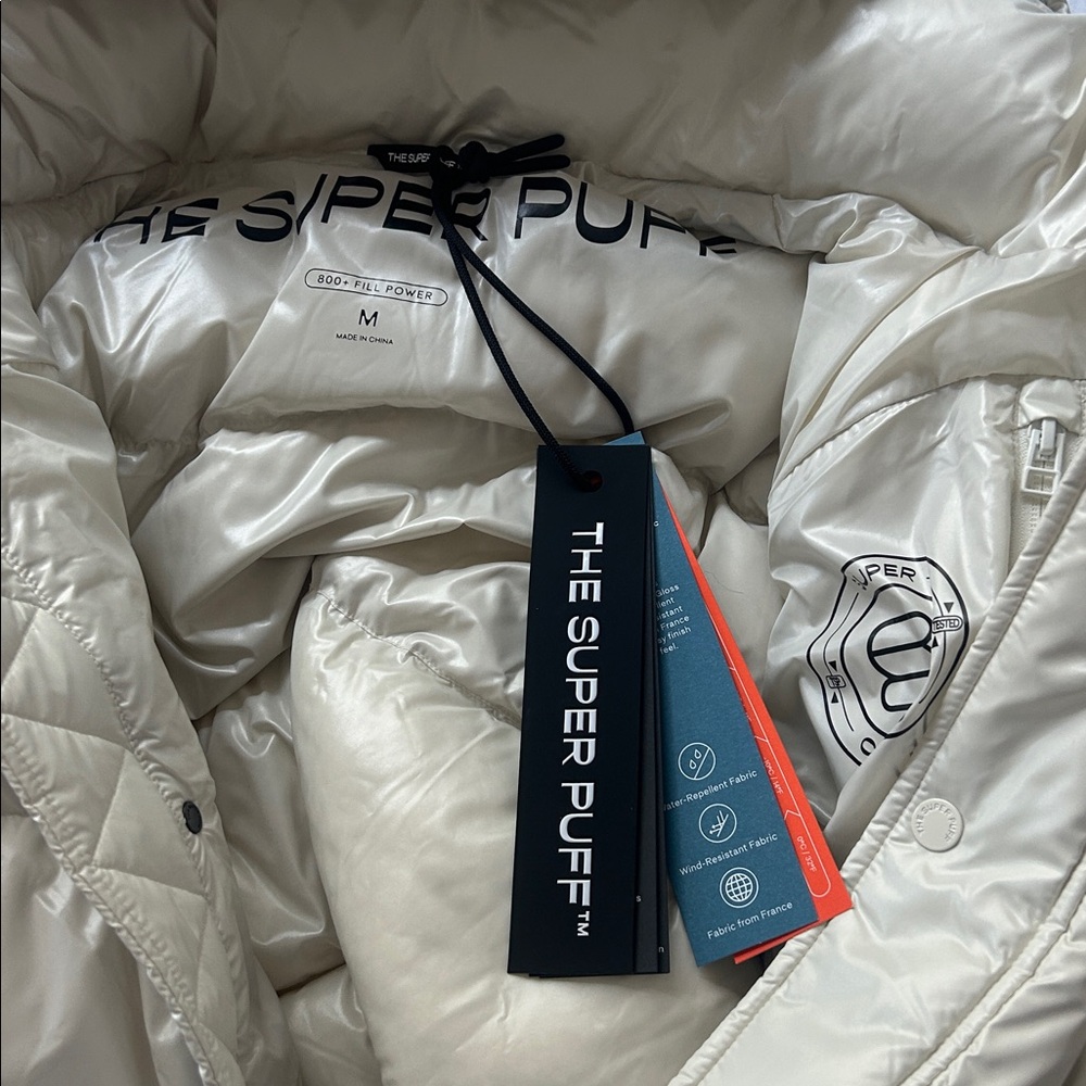 Aritzia Super Puff Long Hi-Gloss - Picture 5 of 5